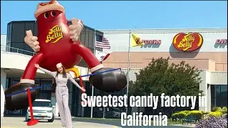 Jelly Belly Factory Tour | Inside the Candy Factory in California | Jelly Bean Making Process