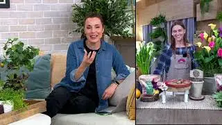 Roberta's 8-pc Calla Lily or Roselily Live Bulbs with Fertilizer on QVC
