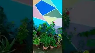 Terrace Garden After Heavy Rain