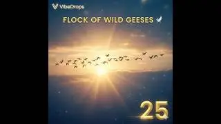 Flock of Wild Geese 🕊️ | Free Nature Sound Effect | VibeDrops #25 #soundeffect #nature #birds