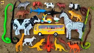idea's 420M Plastic animals find-tool bus Cow zebra lion 4-snake panda lobestar duck.