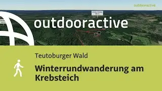 Wanderung im Teutoburger Wald: Winterrundwanderung am Krebsteich
