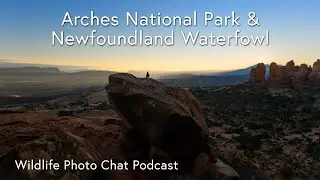 Moab Utah and Waterfowl in Newfoundland - Wildlife Photo Chat Video Podcast