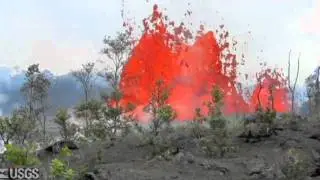 Hawaii Volcano - 2011 Kamoamoa fissure eruption, six months later
