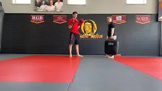 The best way to throw a low kick