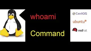 How to use whoami command and use cases in rhel redhat Linux, basic Linux command