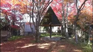 SB05【車窓倍速含】上下の翁山、晴れて美しい紅葉　（府中市 2025.11.16)