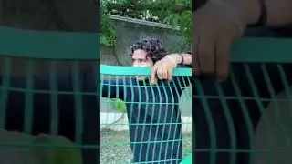 Chhup rieya sala😂#amir_trt. #danish_trt #trending #shorts