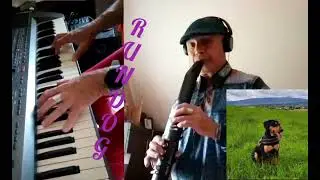 Rundog - Akai EWI Solo 