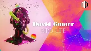 David Gunter - Bird Life