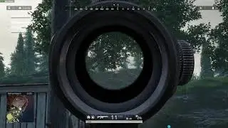ROE Highlights