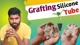 Grafting Silicone Tube ! Silicone Grafting price in india ! 2.5 mm Grafting clips !! Use of grafted
