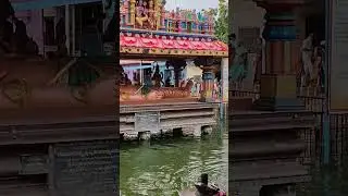 #Padagaya # Pithapuram