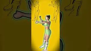 🧘 Ежедневные упражнения для улучшения осанки 🧍&zwj;♀️