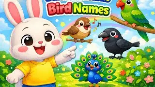 Learn Bird 🐦 Names with Chotu Bunny 🐰 | Fun Kids Song