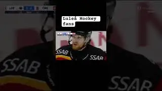 Lule&aring; Hockey Fans: The MOST Insane Fans in the World