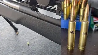 30-378 WBY is a Beast!