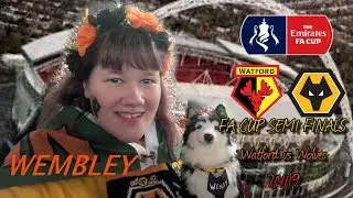 Wolves Vlog - Watford vs. Wolves  - FA CUP SEMI FINALS (7/4/19)