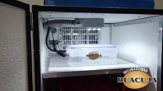 Presentación de los modelos 2023 de Incubadoras Huacuja.
