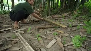 Solo Bushcraft& camping, Build Survival Shelter, Create Fish Trap, Relaxing Video, living off grid