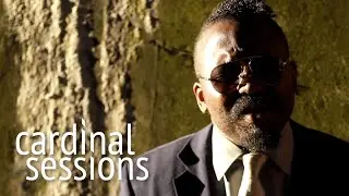 Reverend Shine Snake Oil Co. - The Truth - CARDINAL SESSIONS (Traumzeit Festival Special)