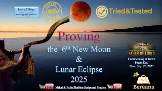 Proving the 6th New Moon 2025 with Film & Photograph Footage