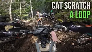 2025 PNWMA Cat Scratch | SDBA | Intermediate