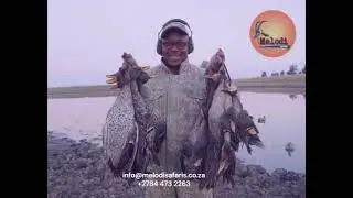 South Africa Duck and upland bird hunting adventure