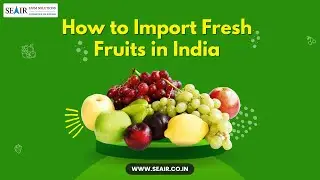 How to Import Fresh Fruits in India: Top Picks for Global Success