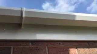 fascia cleaning