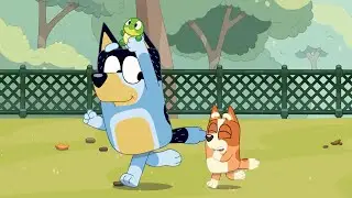 Bluey - Turtleboy Extended