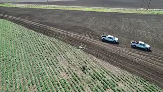 Texas Precision Drones  -  Spraying a green bean field