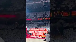 Delije Set the Arena on Fire! 🔥 Crvena Zvezda vs Panathinaikos &ndash; Insane EuroLeague Atmosphere 🇷🇸🇬🇷