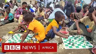 'I feel like a warrior when I play chess' BBC Africa