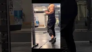 Стоит ли попробовать стереоиди ? #bulk #motivation #сваты6 #memes #bulkqueries #academia #мем #edit