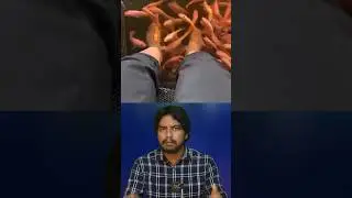 🤯Thailand's MOST SHOCKING Fish Pedicure Problem? // Sri info (Tamil)