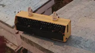Pollen Trap  | कुट तान्ने पासो | Beekeeping Equipment