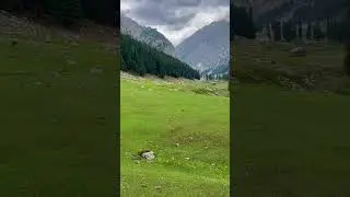 Kalam janshai meadows | hiking | camping | tourism | nature | beauty | mountain | river | horse
