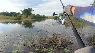Snack head fishing season @BongMyFishing