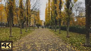 【4K】Late Autumn walk to Kaivopuisto, Helsinki 🍂