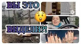 Вы это видели? 😲 Пятничный влог: весна в воздухе, «кошачий глаз» и виски за 12 000 €/