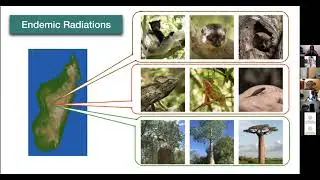 Speaker Series | Dr. Sushma Reddy, the Bell Museum of Natural History