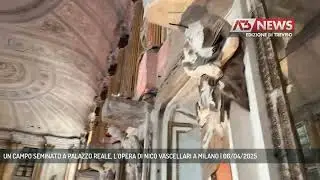 UN CAMPO SEMINATO A PALAZZO REALE, L'OPERA DI NICO VASCELLARI A MILANO | 06/04/2025