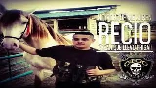 DIEGO SIERRA _ ALA ORDEN DE GUZMAN