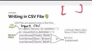 Binary and CSV Files in Python   Class 12 Computer Science #binaryfile #csvfile