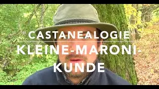 Maroni - Nährstoffe und Konservierung