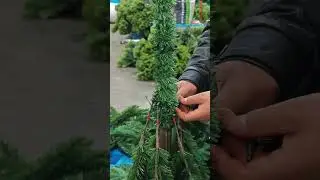 How to connect the trunk and branches of a green tree ?#christmas #christmastree #christmasdecor