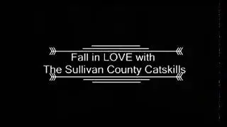 1065 Lake Shore Drive, White Lake, NY ~ Sullivan County Catskills