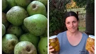 armazenando para o inverno, compota de pêra, doce de pêra em conserva.