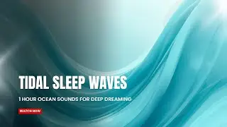 🌊🌙 Tidal Sleep Waves &mdash; 1 Hour Ocean Sounds for Deep Dreaming